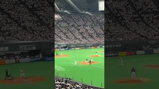 【ファイターズクラシック】小谷野栄一 応援歌（万波中正）