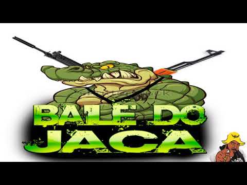25 MINUTOS NO BAILE DO JACARÉ ( DJ LULA E NOVINHO ) BAILE DO JACA 2018