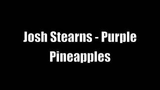 Josh Stearns - Purple Pineapples