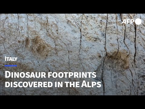 Video | 210-million-year-old dinosaur footprints discovered in the Italian Alps | AFP