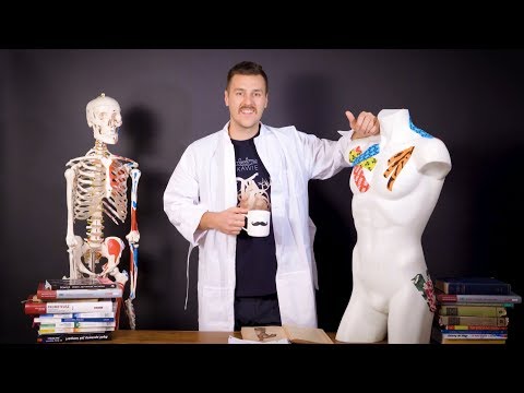 Nazwa ćwiczenia w kulturystyce Ćwiczenia na mięsień dumnym