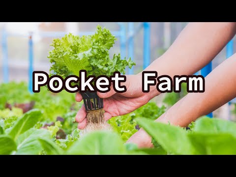 Pocket Farm by Alec Deacon
