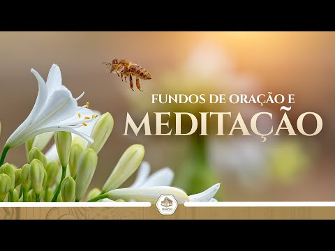 Fundos Instrumentais para Oração e Meditação [Volume II] | TEMPLO DE SALOMÃO