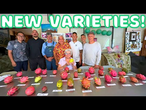 Part 1: We TASTED OVER 30 Dragon Fruit VARIETIES! RARE & NEW HYBRIDS