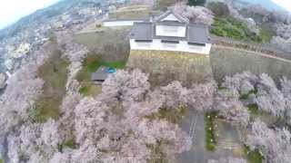 preview picture of video '鶴山公園（津山城） 桜 空撮'