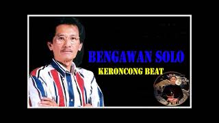 Download lagu BENGAWAN SOLO Mus Mulyadi Keroncong Beat mp3