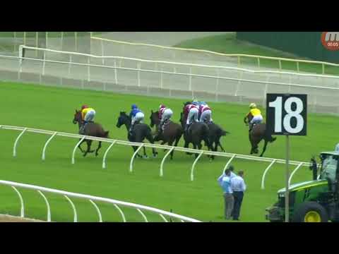 美麗同享 E058 西澳洲表列賽第一 (黃衫黃袖紅帽)