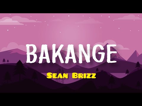 Bakange - Sean Brizz (Video Lyrics)