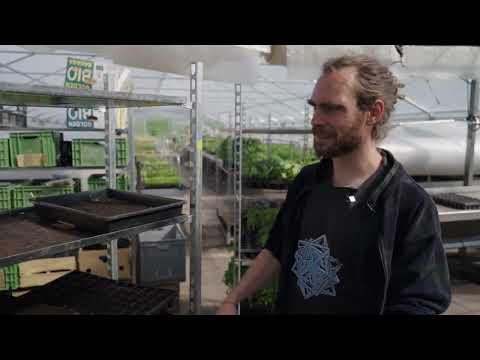 Die Zukunftsbauern - Neue Jungpflanzenanzucht, Blick auf LEAN, Arbeitsabläufe und Laufwege