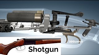 3D Animation: How a Shotgun works