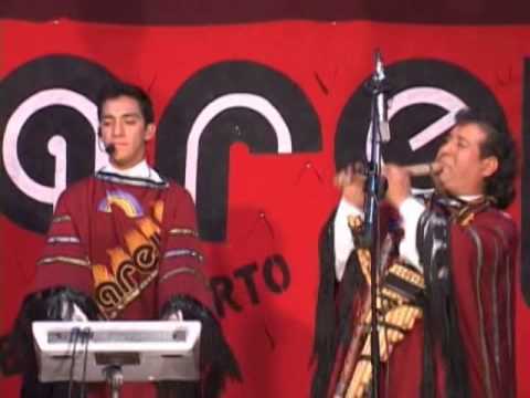 YARETA   CHAYANTEÑITA