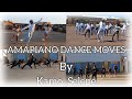 Amapiano DANCE Moves (Dalie ,Mhlolo,Yekani Umona ,Abekho bonke
