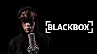 Präsidentensuite Lyrics English Translation