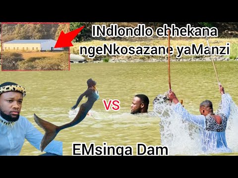 INdlondlo yaManzi ibhekana ngqo ngeNkosazane yaManzi eMsinga Dam waphuma enganamyocu zizwele nayi