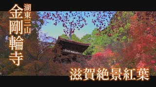 滋賀絶景紅葉2019 「金剛輪寺」