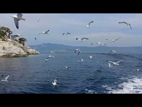 ISMAILI GINANS WITH MUSIC - PACHAM THI SHAH NA DAR AAWASHE VIDEO