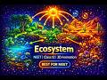 Ecosystem Explained In 3D Energy Flow Food Chain Cycles NEET Class 12 Biology