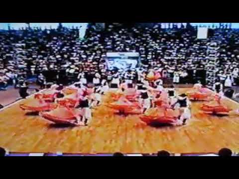 CPF PIÁ DO SUL - ENART 1999 - CAMPEÃO - ENTRADA