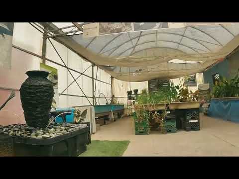 Sid s Ponds - Store Interior - Department Drone Flight