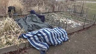 Lack of affordable housing leaves some Dubuque homeless sleeping in garden beds