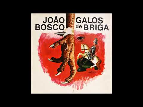 Vida Noturna video
