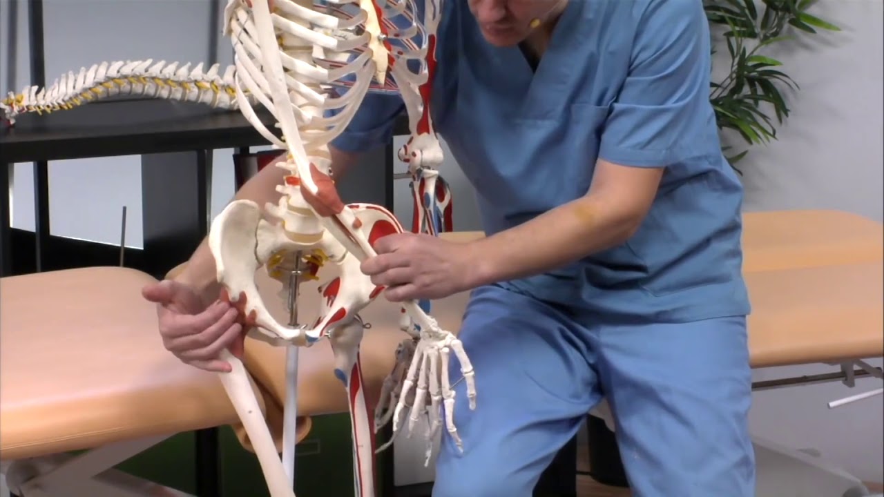 Watch Dolores de espalda, cadera y rodilla provocados por una alteración ginecológica Now Dolores de espalda, cadera y rodilla provocados por una alteración ginecológica