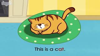 Word Families 1 The Cat Sat Little Fox