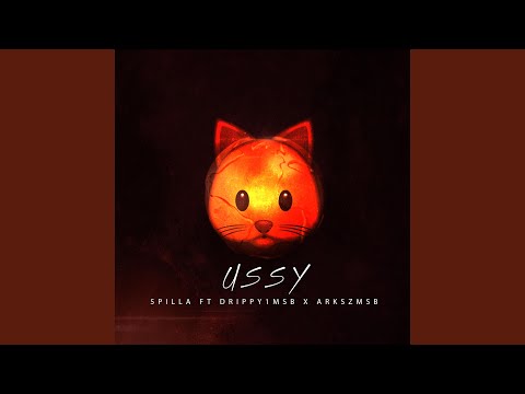 Ussy (feat. Drippy1msb & Arkszmsb)