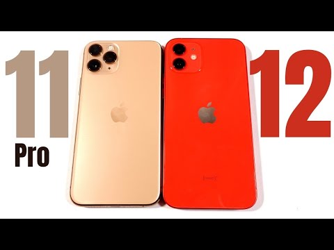 iPhone 11 Pro vs iPhone 12 - Don't Make A Mistake