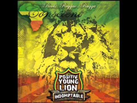 Positiv Young Lion - La musique du coeur