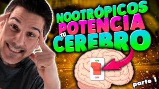 Mejora Tu MEMORIA, ATENCIÓN y CONCENTRACIÓN Con Estos 5 SUPLEMENTOS *No Son Los Que Crees*