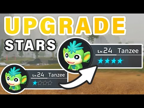 How to Upgrade PAL Star Levels | 1-4 STAR ► Palworld