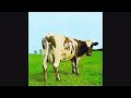 Pink Floyd Album Reviews: Atom Heart Mother ...