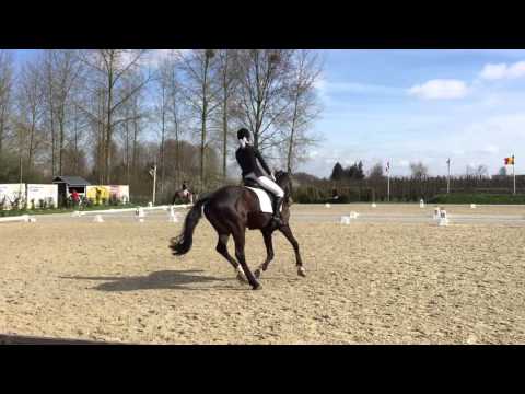 20160403, Stal Gravenhof, E7, Ghost