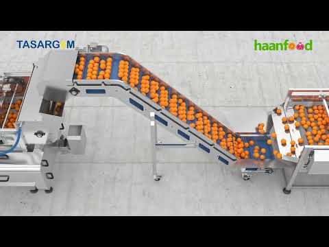 Tasargem Portakal Hattı 3d Tanıtım Animasyonu