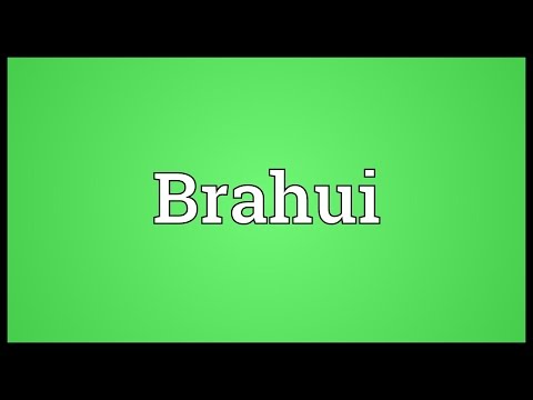 Brahui Meaning