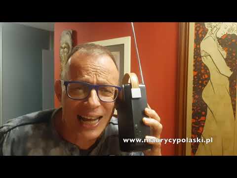 MPD odc. 229 - Mazurek