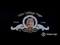 Metro Goldwyn Mayer Logo History 1915 2024