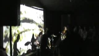 Showbread Age of Reptiles Live