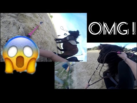 JEUX A PONEYS ET CHUTES