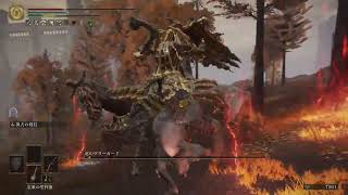 【ELDEN RING】愚民のまま生を終えるエルデンリング【実況】Part4