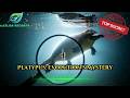 Platypus Evolution S Greatest Mystery Nature S Strangest Creature