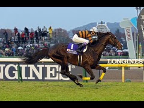 2016 JRA Japan Cup _ KITASAN BLACK