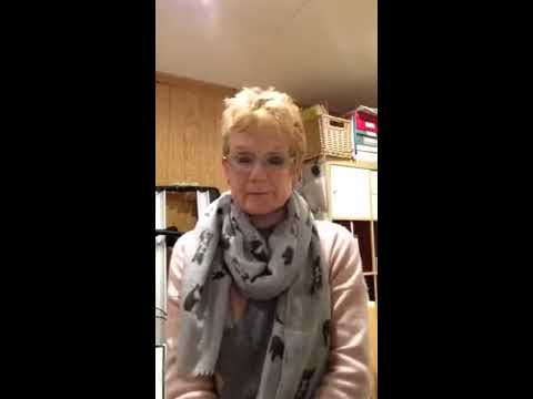 Alison Dobbins Review on Lingua Genesis