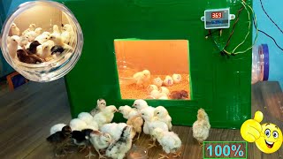 BEST INCUBATOR FOR CHICKEN EGGS WITH 100% EFFICIENCY | DIY-HOMEMADE EGG INCUBATOR | YOU CAN DO THIS