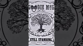 Goodie Mob ~ Black Ice(Sky High) #conscioushiphop #dirtysouth #GoodieMob #BlackIce #1998