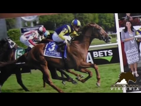 Sadler's Joy-One of America's best race horse