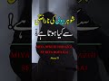 Miya Biwi Ki Narazgi Se Kiya Hota Hai Hazrat Imam Ali As Shohar Husband Wife Foryou Naimaltv