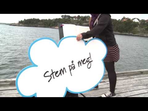 Drømmefinalist LOS Fondet 2012 Marin