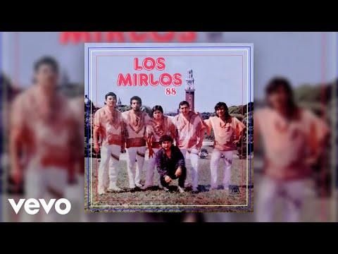 Los Mirlos - Cumbia del Divorcio (Official Audio)
